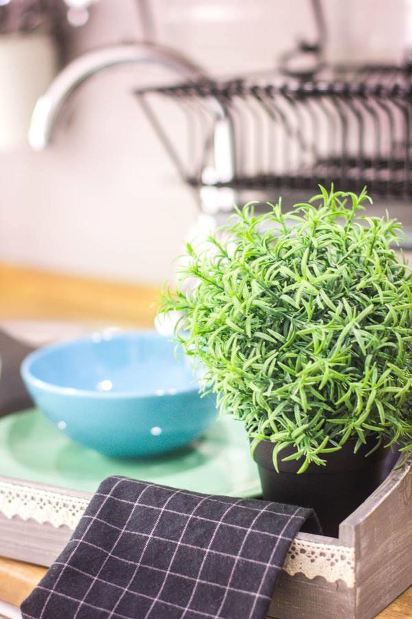 Apartament Premium Blanka ポロニン エクステリア 写真
