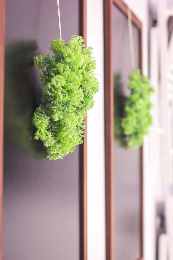 Apartament Premium Blanka ポロニン エクステリア 写真