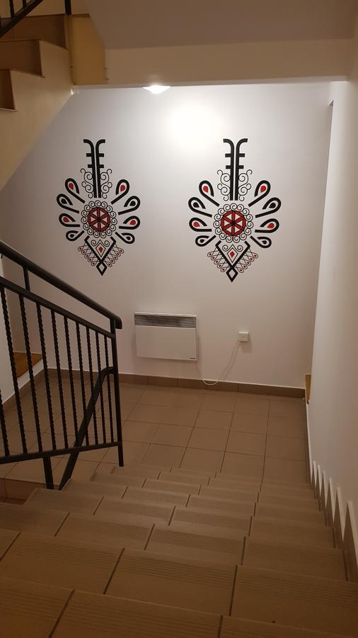 Apartament Premium Blanka ポロニン エクステリア 写真